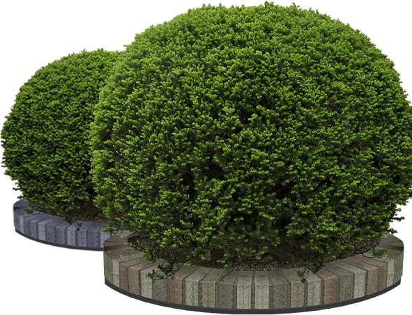 Rossi Espace Vert Etivey, Création et Aménagement de jardins, Entretien